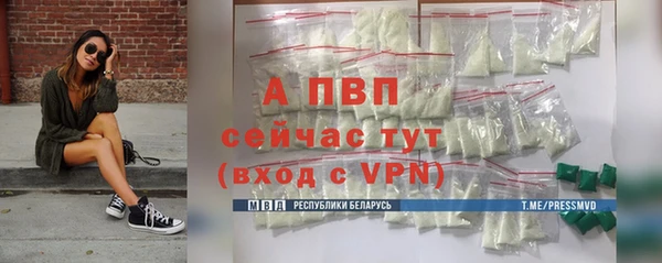 дживик Лабытнанги
