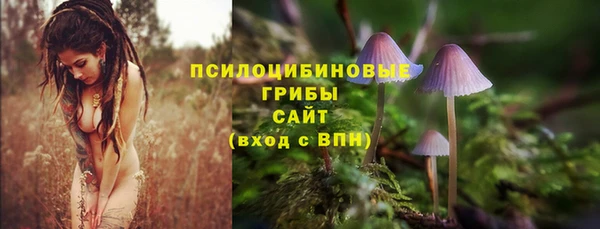 бошки Магас