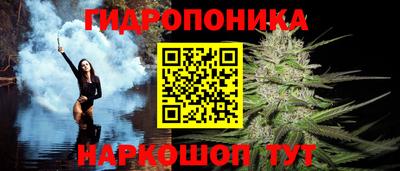 дмт Донской