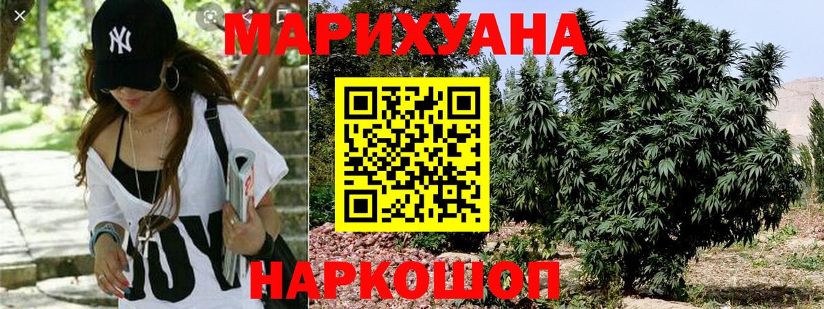 Конопля OG Kush Пермь